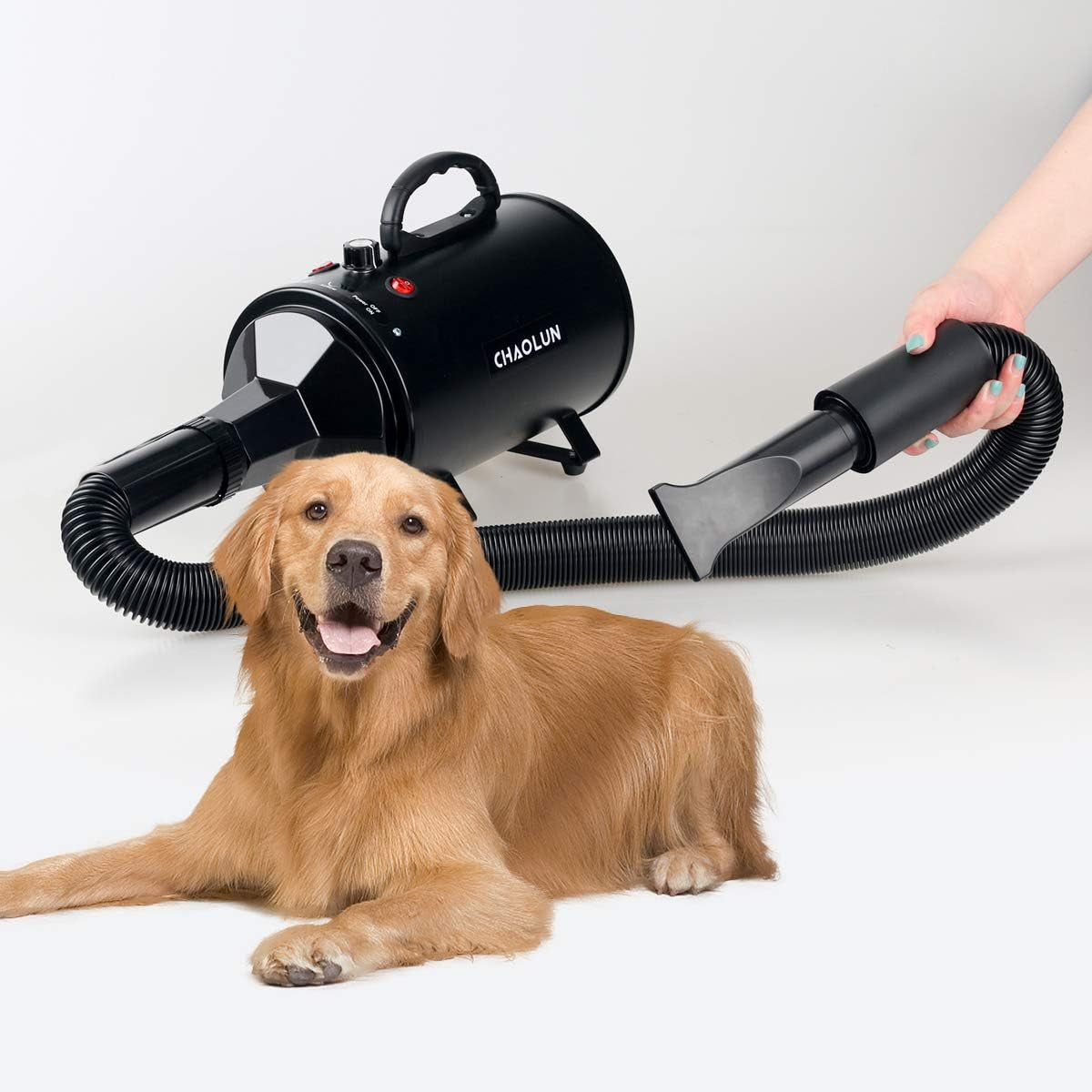 Professional High Velocity Dog Dryer - Powerful Grooming Blow Dryer with Heater, Adjustable Speed for Quick Drying, Pet Hair Dryer in Black
