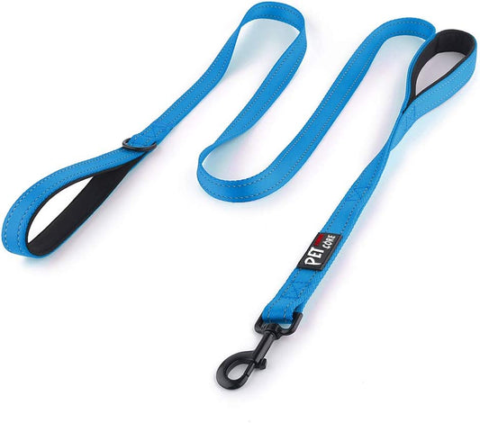 Plutus Heavy Duty 6Ft Dog Leash with Dual Padded Handles - Reflective & Safe for Large & Medium Dogs - Perfect for Training & Control (Light Blue)